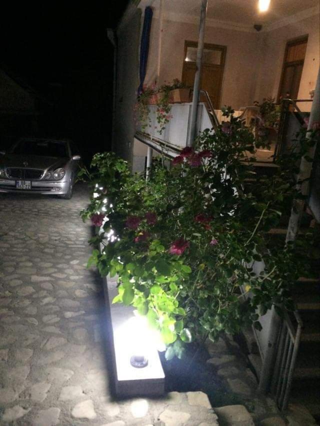 Guesthouse Raisa Kvareli Exterior foto