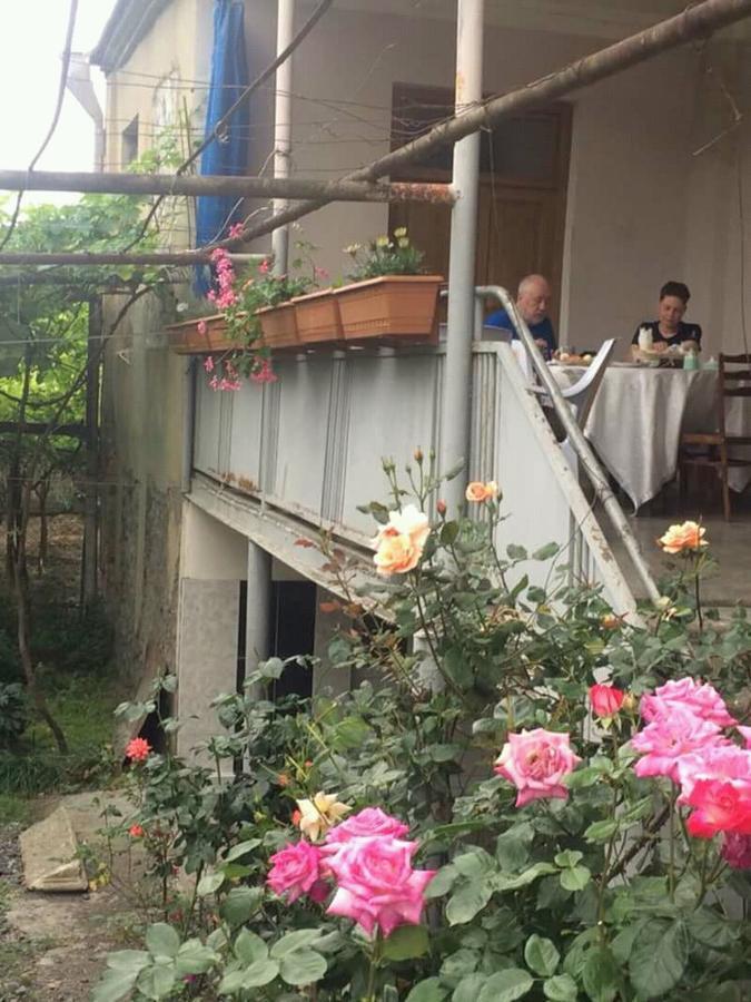 Guesthouse Raisa Kvareli Exterior foto