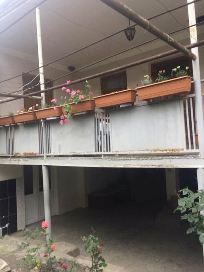Guesthouse Raisa Kvareli Exterior foto